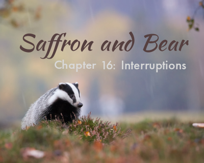 An image of a badger is overlaid with the text "Saffron and Bear" and "Chapter 16: Interruptions"