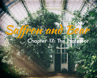An image of a greenhouse is overlaid with the text "Saffron and Bear" and "Chapter 17: The Professor"