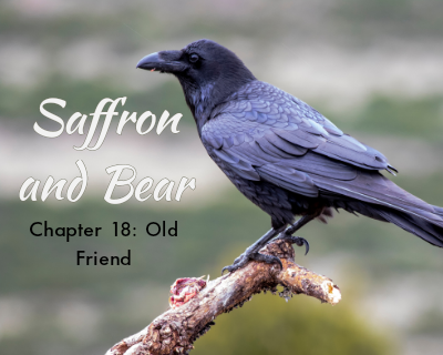 An image of a crow is overlaid with the text "Saffron and Bear" and "Chapter 18: Old Friend"
