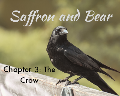 Chapter 3: The Crow