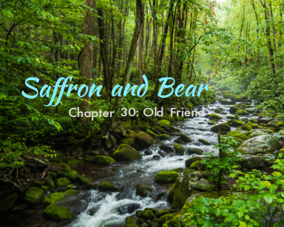 An image of a stream in the woods is overlaid with the text "Saffron and Bear" and "Chapter 30: Old Friend"