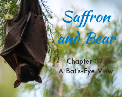 An image of a bat is overlaid with the text "Saffron and Bear" and "Chapter 32: A Bat's-Eye View"