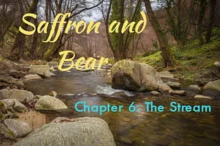 A background image of a stream through the woods is overlaid with the text "Saffron and Bear" and "Chapter 6: The Stream"
